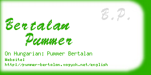 bertalan pummer business card